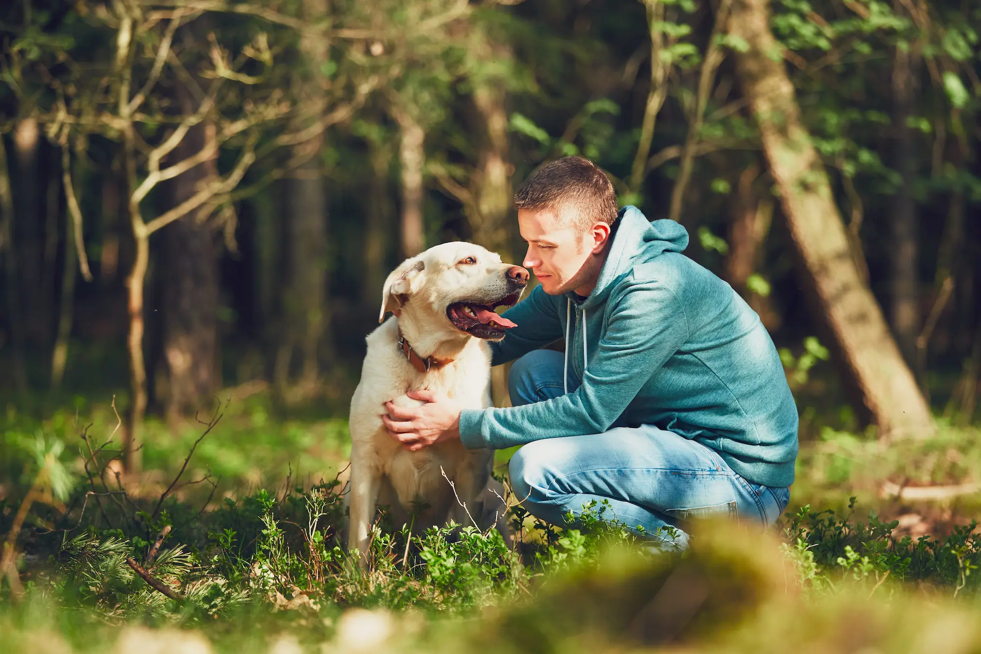 Veteran with service dog